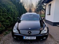 Obraz 3