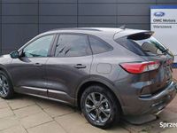 używany Ford Kuga 2.0 EcoBlue 190 KM | A8 | AWD | ST-Line X| Diesel