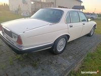 Obraz 3