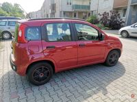 używany Fiat Panda 