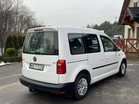 Obraz 3