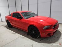 Używany Ford Mustang 305 KM (224 kW) 2013