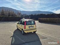 używany Fiat Panda 