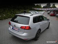 używany VW Golf VII 1.6dm 105KM 2014r. 190 677km