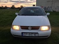 Obraz 3
