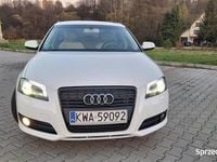 Używany Audi A3 105 KM (77 kW) 2011 Biały Hatchback