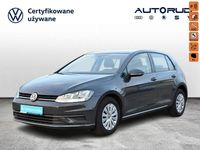 Używany VW Golf VII 116 KM (85 kW) 2019 Szary Hatchback