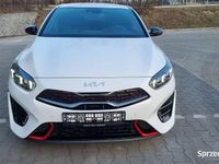 używany Kia ProCeed 1.6 T-GDI GT 204 Km 8 tys km