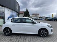 Obraz 3