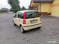 Obraz 3