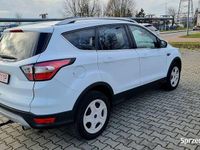 Używany Ford Kuga 2019 Biały SUV