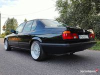 Obraz 3