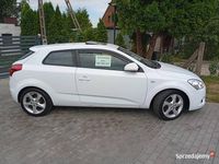 Obraz 1