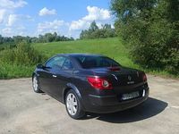 Obraz 2