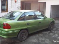 Obraz 3