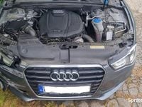 Obraz 3
