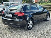 Obraz 3
