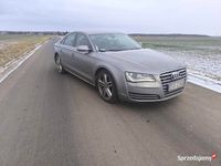 używany Audi A8 D4 QUATTRO 3,0 TDI 252KM