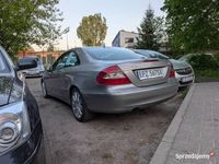Obraz 3