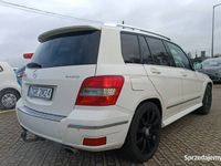 Obraz 3