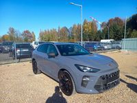 Używany Cupra Terramar 265 KM (194 kW) 2024 Grafitowy SUV