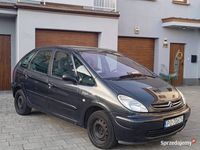 Obraz 3