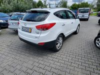 Obraz 3