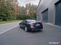 Obraz 3