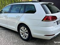 używany VW Golf VII Golf VWKombi 1.5TSI Salon Polska Prywatnie Idealny St…