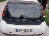 Obraz 3