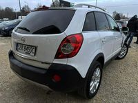 Używany Opel Antara 2010 Biały SUV