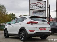 Obraz 2