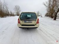 Używany Subaru Forester 2002 Złoty SUV