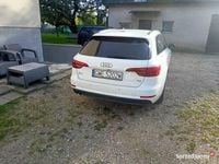 Obraz 3