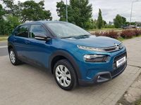 Używany Citroën C4 Cactus 110 KM (80 kW) 2019 Niebieski Hatchback