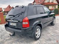 Obraz 3