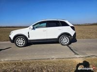 Używany Opel Antara 2009 Biały SUV