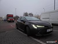 Używany Toyota Corolla Hybrid 2021