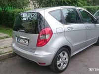 Obraz 3