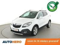 Obraz 1