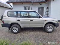 Obraz 3