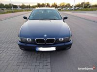 Obraz 2
