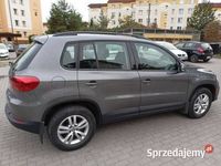 Obraz 1