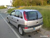 Obraz 3