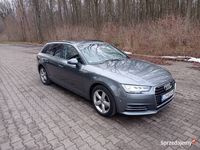Używany Audi A4 2019