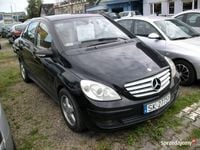 Obraz 1