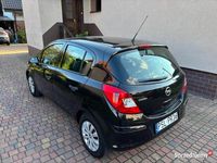 Obraz 3
