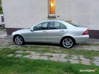 Obraz 3