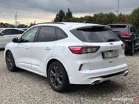 Używany Ford Kuga 120 KM (88 kW) 2021 Biały SUV