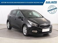 Obraz 1